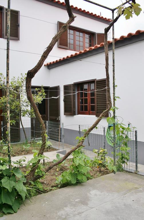 Casa Azul Natura Понта Делгада Екстериор снимка